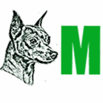 pingo magia - Imagem 2